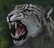 Cross stitch pattern: #688253