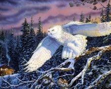 Cross stitch pattern: #688258