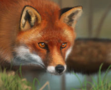 Cross stitch pattern: #688263