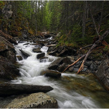 Cross stitch pattern: #689568