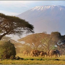 Cross stitch pattern: #691020