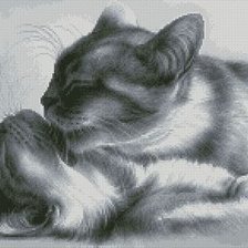 Cross stitch pattern: #691425