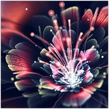 Cross stitch pattern: #691556