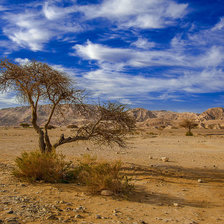 Cross stitch pattern: #692025