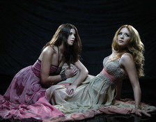 Cross stitch pattern: #692624