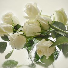 Cross stitch pattern: #693343