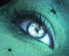 Cross stitch pattern: #694905