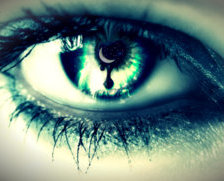 Cross stitch pattern: #694911