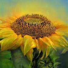 Cross stitch pattern: #696763