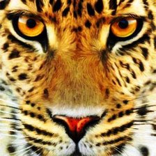 Cross stitch pattern: #696976