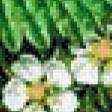 Preview of cross stitch pattern: #697297