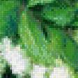 Preview of cross stitch pattern: #699040