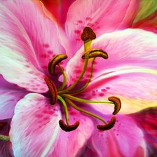 Cross stitch pattern: #699139