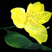 Cross stitch pattern: #699147