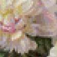 Preview of cross stitch pattern: #699186
