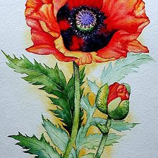Cross stitch pattern: #701130