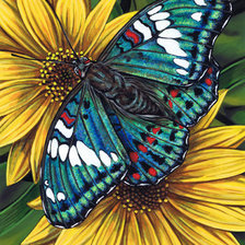 Cross stitch pattern: #701179