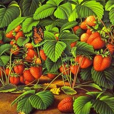 Cross stitch pattern: #701213