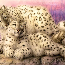 Cross stitch pattern: #703143