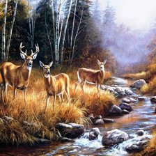 Cross stitch pattern: #703423