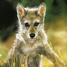 Cross stitch pattern: #703480