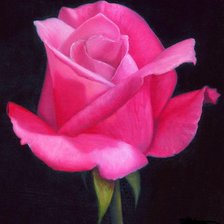 Cross stitch pattern: #703770