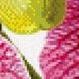 Preview of cross stitch pattern: #704505