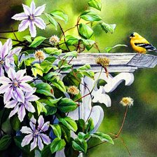 Cross stitch pattern: #704896