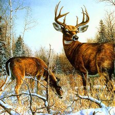 Cross stitch pattern: #704942