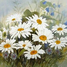 Cross stitch pattern: #705362