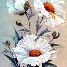 Cross stitch pattern: #705934