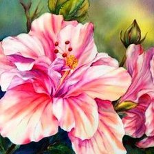 Cross stitch pattern: #706460