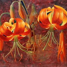 Cross stitch pattern: #706762