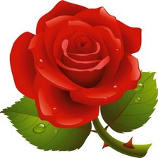 Cross stitch pattern: #707445