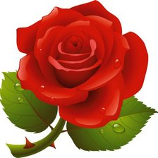 Cross stitch pattern: #707447