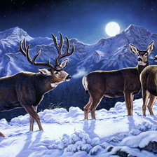 Cross stitch pattern: #708073