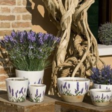 Cross stitch pattern: #709922