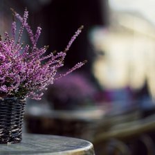 Cross stitch pattern: #709933