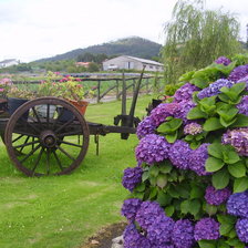 Cross stitch pattern: #709941