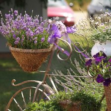 Cross stitch pattern: #709942