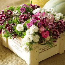 Cross stitch pattern: #709943