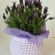 Cross stitch pattern: #709948