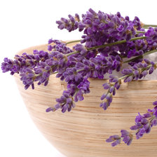 Cross stitch pattern: #709952