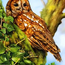 Cross stitch pattern: #710261