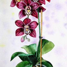 Cross stitch pattern: #713775