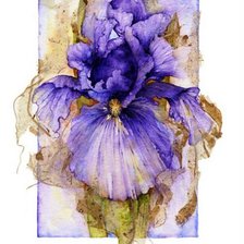 Cross stitch pattern: #713777