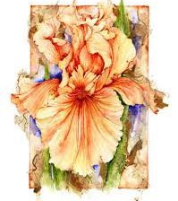 Cross stitch pattern: #713778