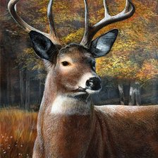 Cross stitch pattern: #716444