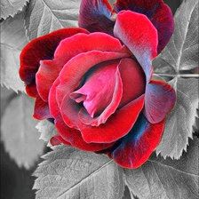 Cross stitch pattern: #719558