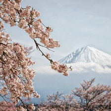 Cross stitch pattern: #719563